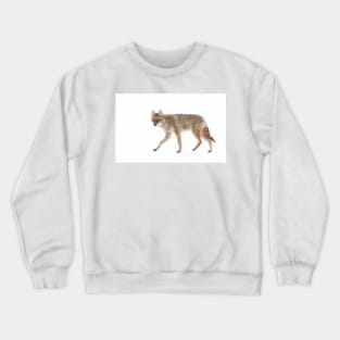 Coyote Crewneck Sweatshirt